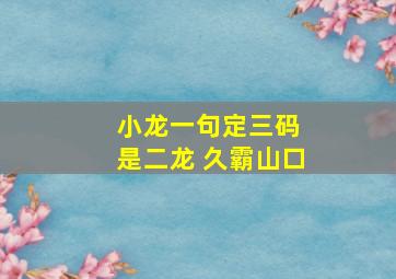 小龙一句定三码 是二龙 久霸山口